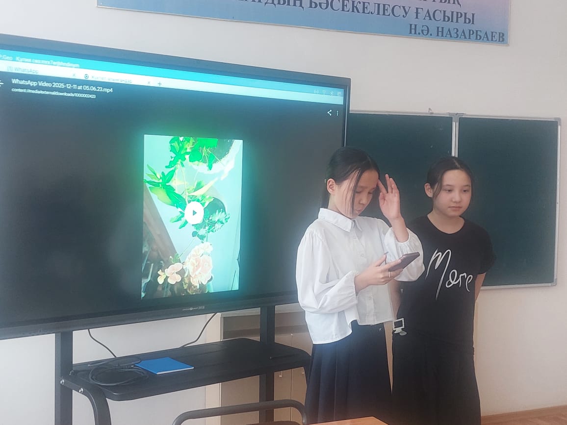 Мое любимое растение